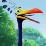 Snipe's Photo